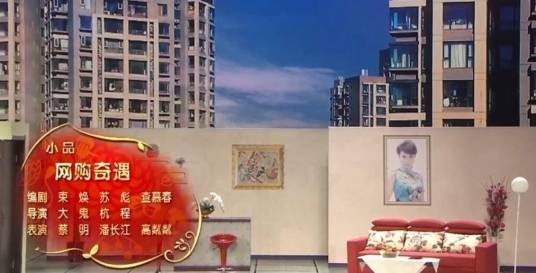 网购奇遇(束焕、苏彪编剧的小品)