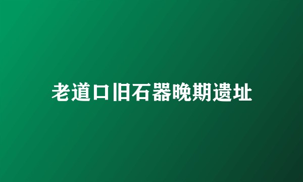 老道口旧石器晚期遗址