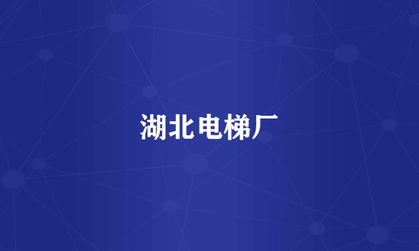 湖北电梯厂