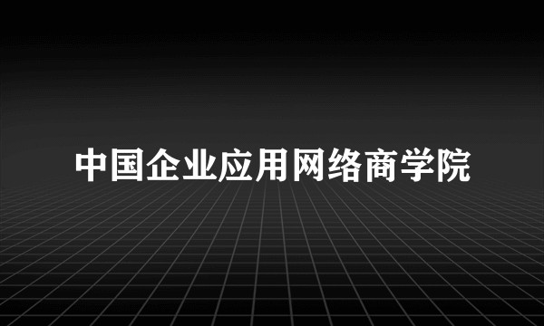 中国企业应用网络商学院