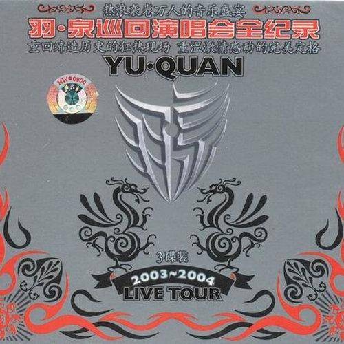 没你不行(2003年羽泉演唱歌曲)