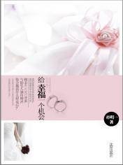 给幸福一个机会（2010年沈阳出版社出版的图书）