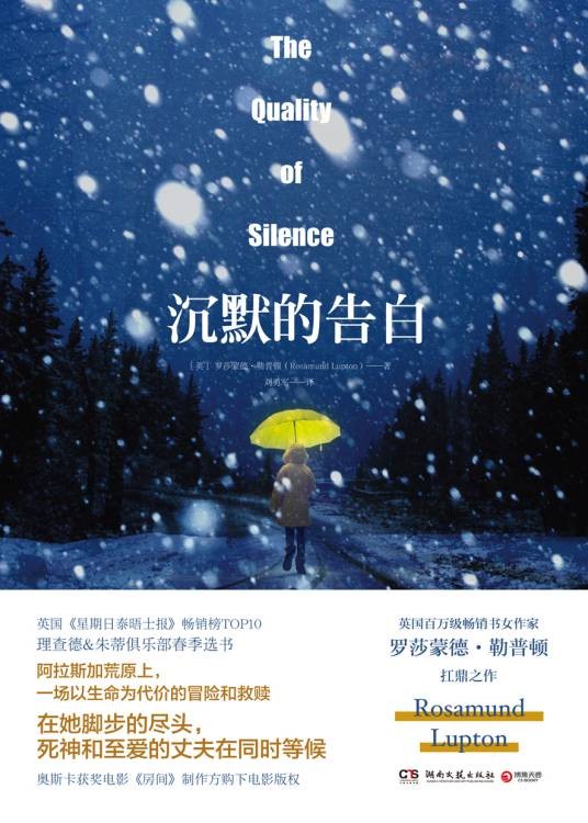 沉默的告白（2016年湖南文艺出版社出版的图书）