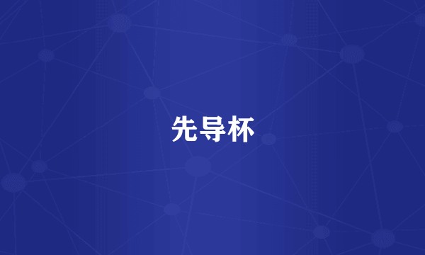 先导杯