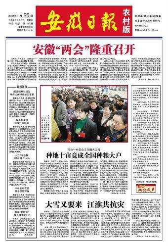 安徽日报·农村版