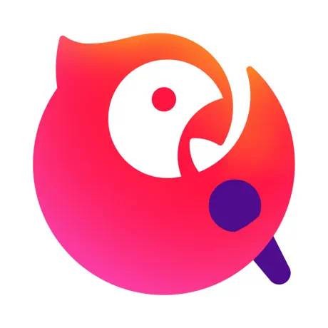 全民K歌（腾讯公司出品的k歌软件）