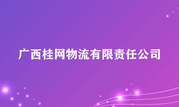 广西桂网物流有限责任公司