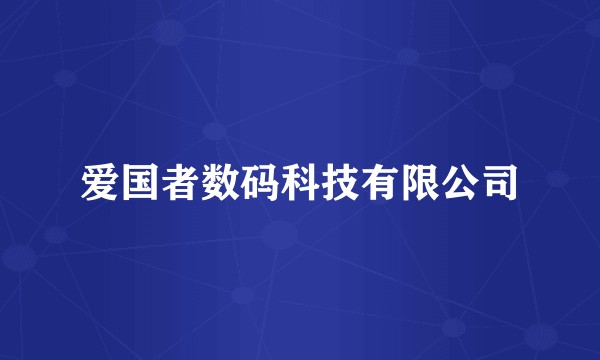 爱国者数码科技有限公司