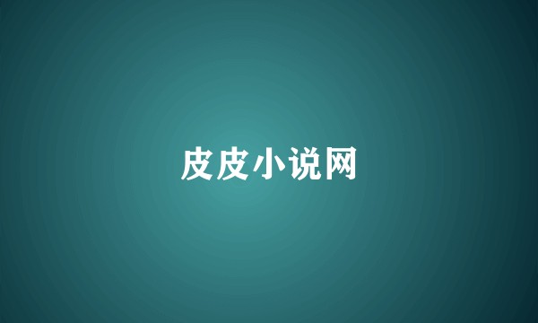 皮皮小说网
