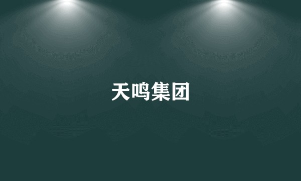 天鸣集团