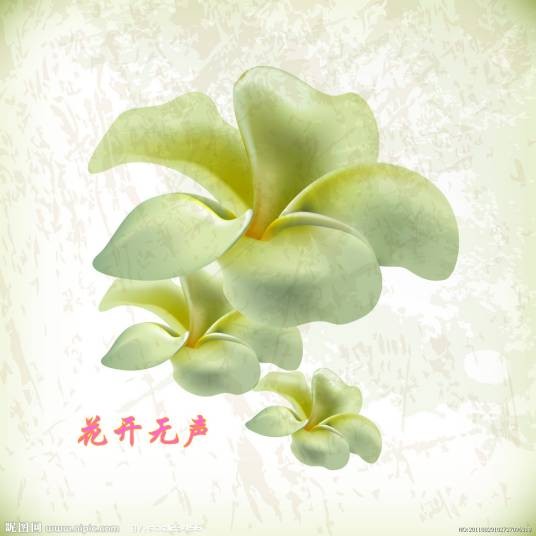 花开无声（2010年周雅露执导的短片）