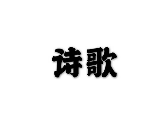 诗歌（诗歌作品）