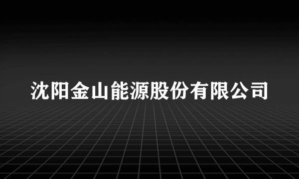 沈阳金山能源股份有限公司
