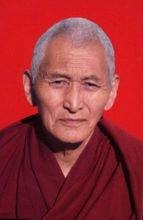 旦科（藏医专家）