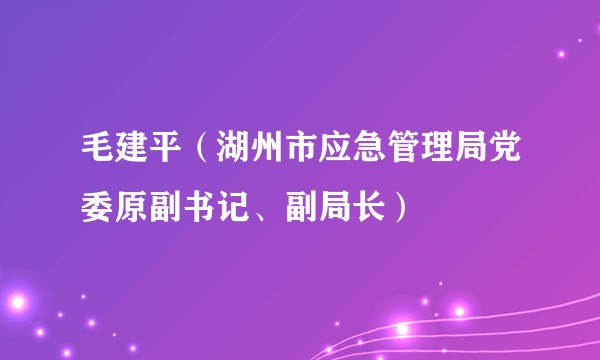 毛建平（湖州市应急管理局党委原副书记、副局长）