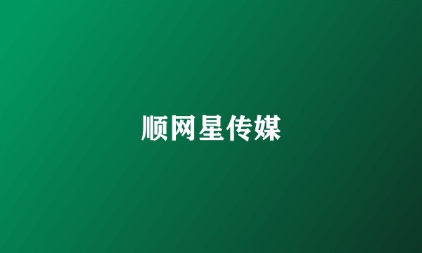 顺网星传媒