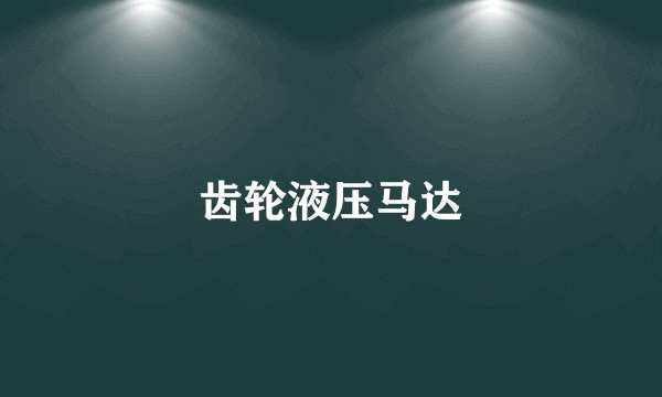 齿轮液压马达