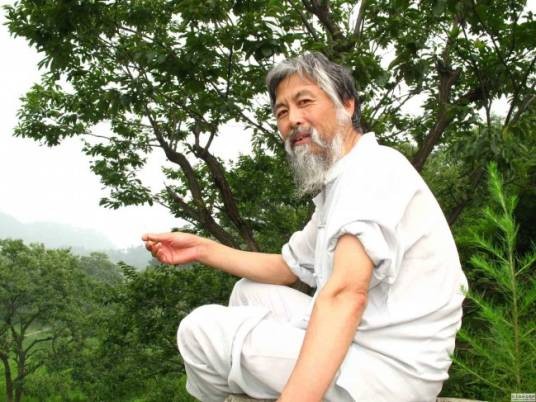 赵文竹(艺术家)