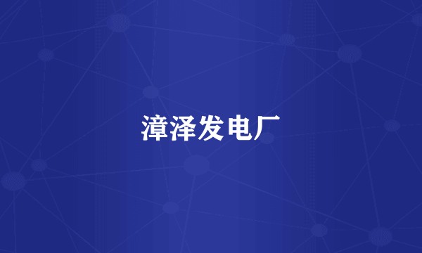 漳泽发电厂