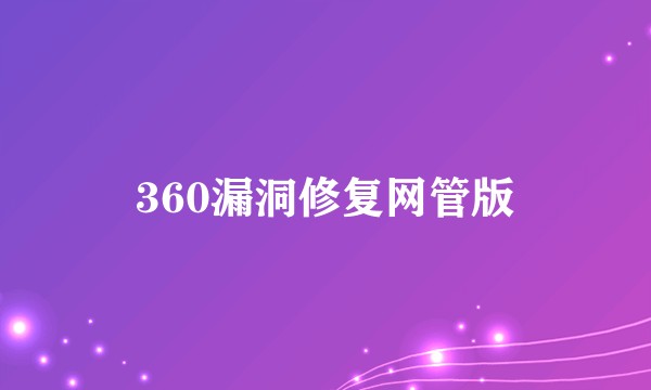 360漏洞修复网管版