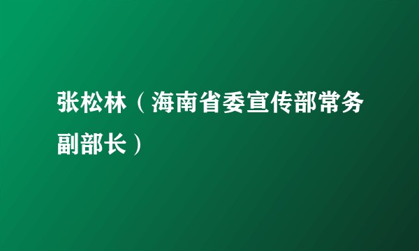 张松林（海南省委宣传部常务副部长）