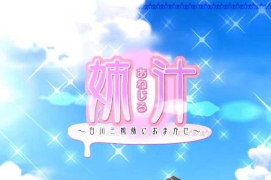 姉汁（日本冈田留奈著的小说）