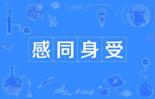 感同身受（汉语成语）
