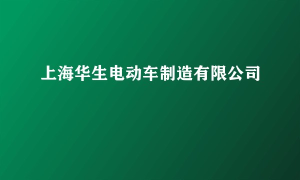 上海华生电动车制造有限公司