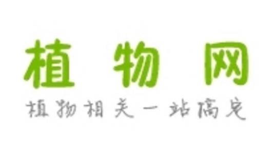 植物网