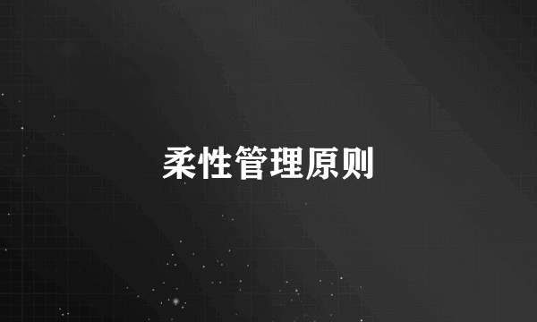 柔性管理原则