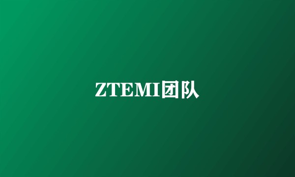 ZTEMI团队