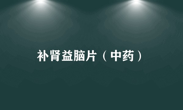 补肾益脑片（中药）