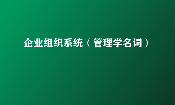 企业组织系统（管理学名词）