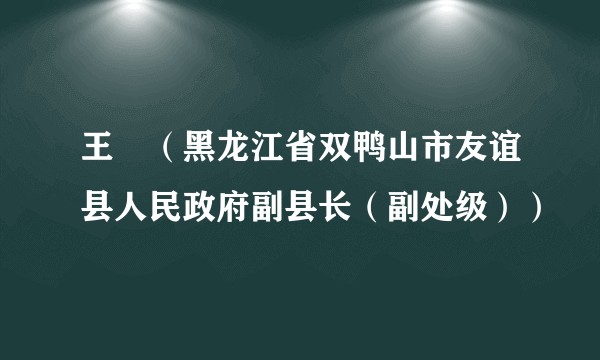 王屾(黑龙江省双鸭山市友谊县人民政府副县长(副处级))