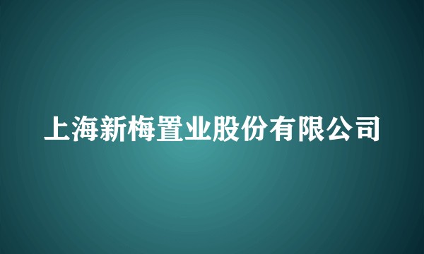 上海新梅置业股份有限公司