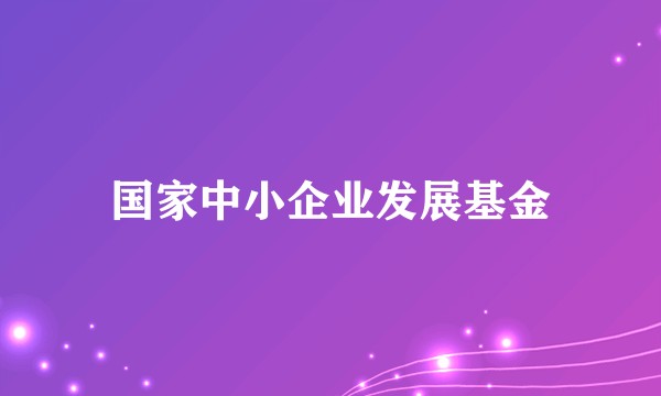 国家中小企业发展基金