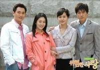 危险的爱情(韩国2005年金亨日执导的电视剧)