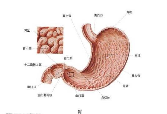 急性胃粘膜病变
