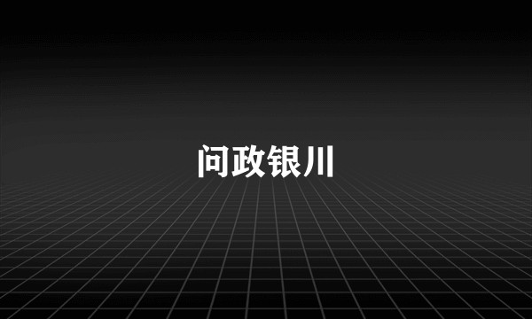 问政银川