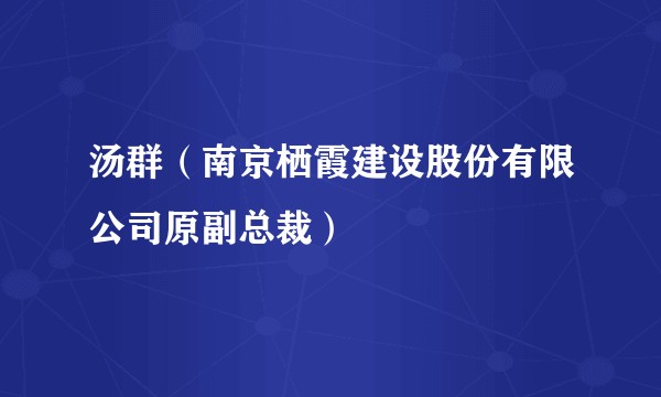 汤群（南京栖霞建设股份有限公司原副总裁）