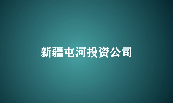 新疆屯河投资公司