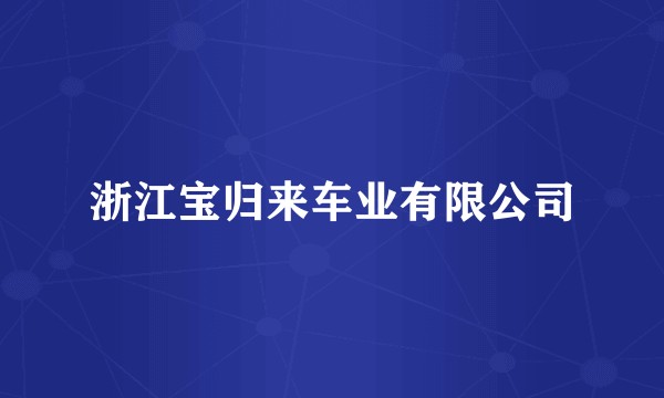 浙江宝归来车业有限公司