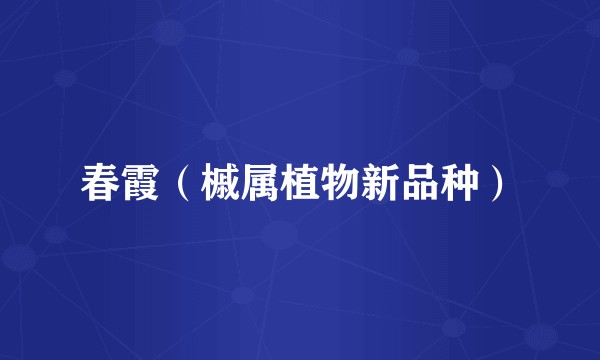 春霞（槭属植物新品种）