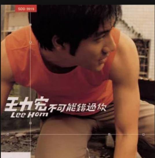 失去了你（王力宏演唱的歌曲）