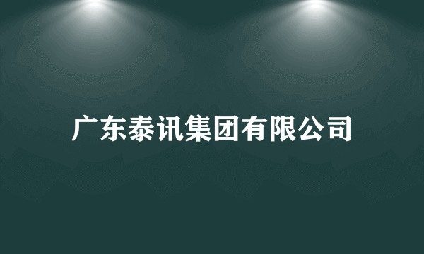 广东泰讯集团有限公司