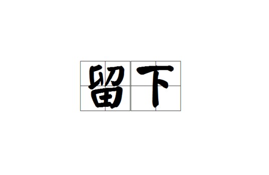 留下（汉语词语）