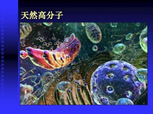 天然高分子