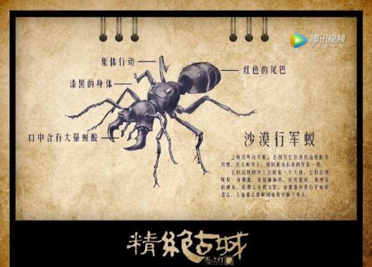 沙漠行军蚁(《鬼吹灯》中的怪物)