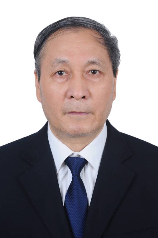 张亮亮（重庆大学土木工程学院教授）