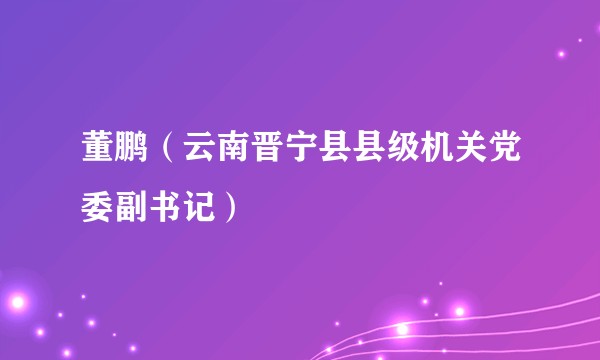 董鹏（云南晋宁县县级机关党委副书记）